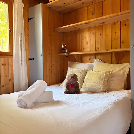 Le Petit Cosy
